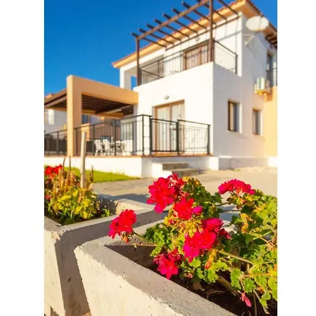 Angelina Villa
